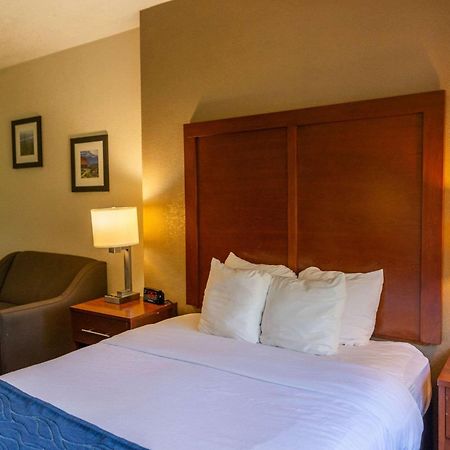 קולורדו ספרינגס Comfort Inn North - Air Force Academy Area מראה חיצוני תמונה