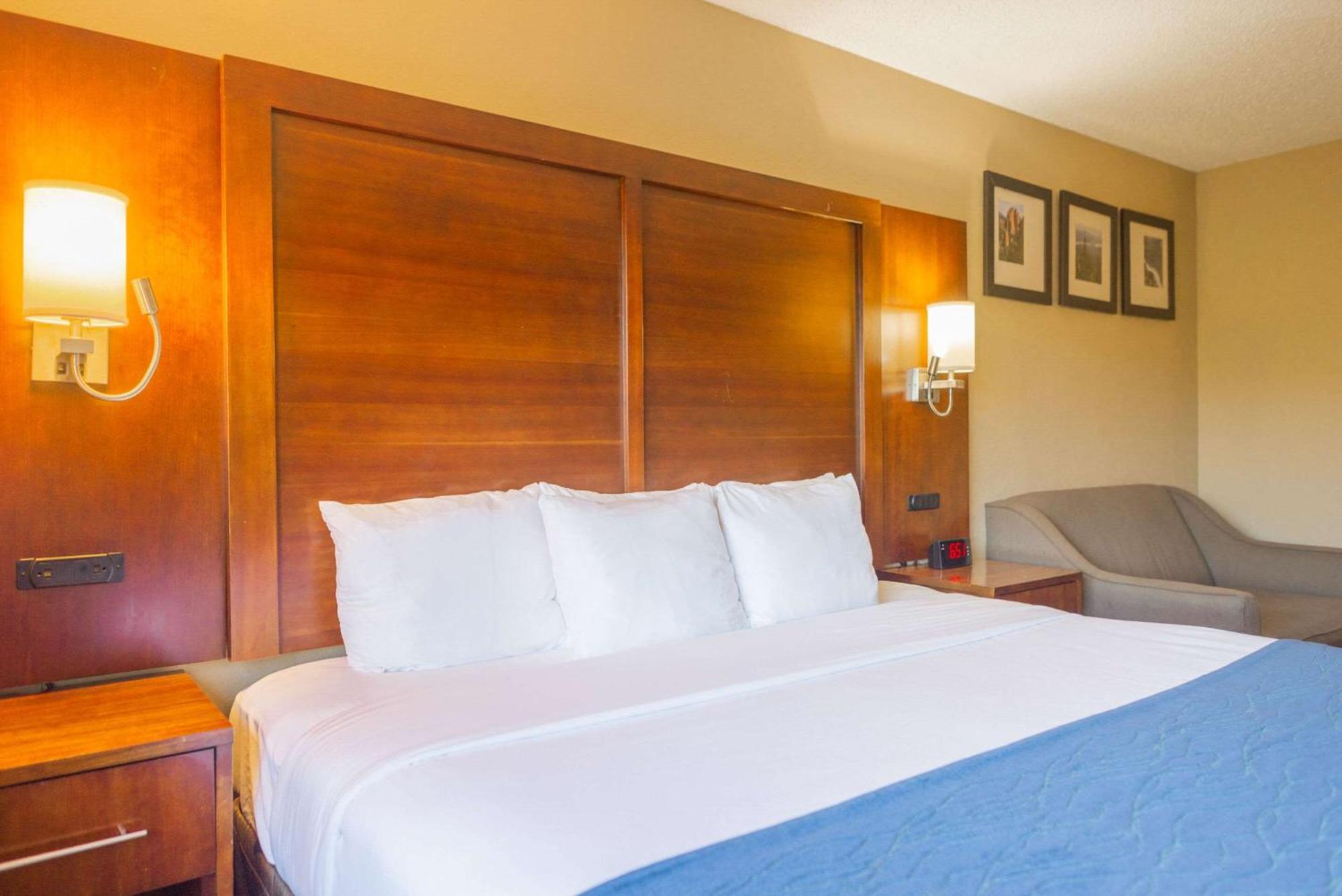 קולורדו ספרינגס Comfort Inn North - Air Force Academy Area מראה חיצוני תמונה