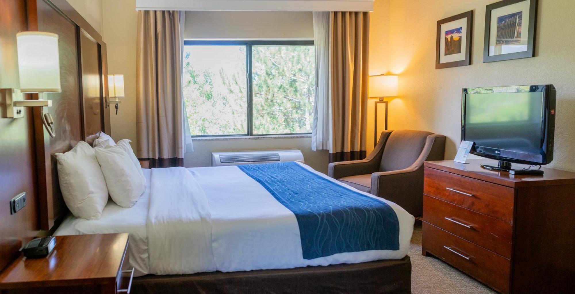 קולורדו ספרינגס Comfort Inn North - Air Force Academy Area מראה חיצוני תמונה